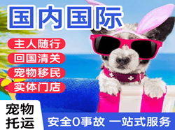 邯郸空运国际宠物托运 【国